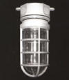 APPLICATIONS: Well & Pit Lighting, Indicator lighting for Dock, Industrial and commercial applications. VAPORTITE BOX LIGHT 300w 1/2" Vaportite
